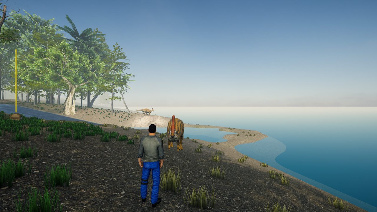 Crestbacks on the shore