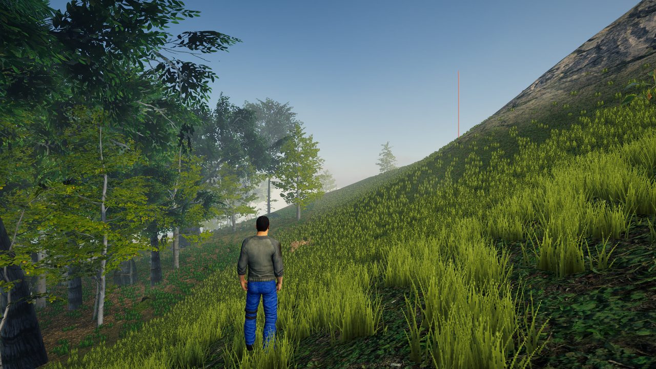 A survivor at the edge of the forest